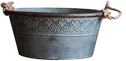 Abaodam 2pièces Seau De Stockage Fer Rétro Seau Décoratif pour Fleurs Accessoires De Jardin Vintage Modèle Décoratif Style Pastoral