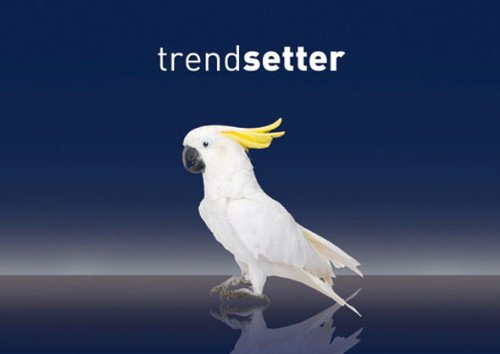 Flip-Postkarte Trendsetter