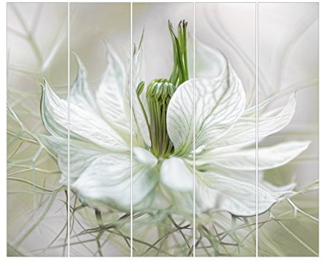 Bilderwelten Schiebegardinen Weiße Nigella - 5 Flächenvorhänge Wandhalterung 5X 250x60cm