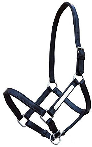 German Riding gepolstertes Lederhalfter mit Metallplatte Links für Namensgravur (Cob gleich VB)