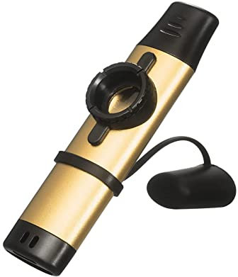 Kazoo mit 5 Membranen für Mundstücke, Musikinstrumente für Kinder, Kazoo aus Metall, verstellbarer Ton für Musikliebhaber für Kinder/Erwachsene (Gold)