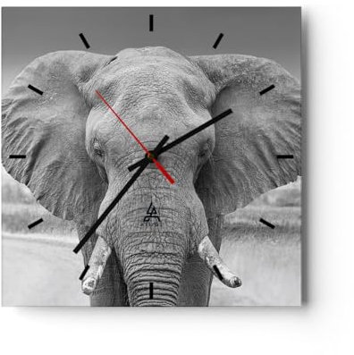 Modern Wanduhr Elefant Afrika Tier 40x40cm Quadrat Groß Wand Uhr Glas Analog Zimmeruhren Küche Büro Wohnzimmer Glasuhr Wall Clock Dekoration Design Wanddekoration Küchenuhr C3AC40x40-5072