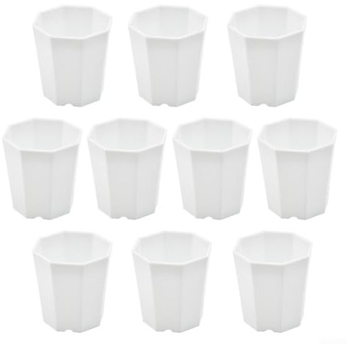 SPORTARC Lot de 10 mini pots de fleurs en plastique pour plantes grasses et décoration de jardin