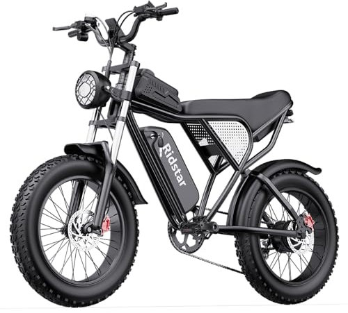 Q20 E-Bike für Erwachsene, Offroad-Akku 48V 20AH, 20 x 4.0 Zoll fette Reifen, Mountainbike, Schnee- und Sand-E-Bike für alle Terrains