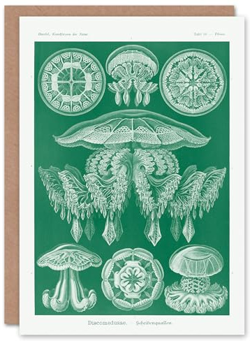 Artery8 Ernst Haeckel Art Card Discomedusae Jellyfish Species