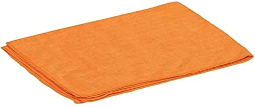 Pippo Nespoli Microfibre Floor Cloth, Microfiber, Orange, 50 x 40 cm