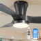 Ventilatore a soffitto con illuminazione 80cm, 3000 K-5000 K Dimmbar, 2200LM Lampada LED silenziosa Ventilatore con luce e telecomando/APP, 7 velocità, Timer für Decke Soggiorno Camera da letto, Nero