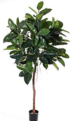 Künstlicher Gummibaum ca. 150cm hoch mit Naturstamm - Ficus Elastica Kunstbaum im Topf