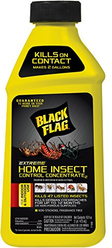 Black Flag Extreme Home Insect Control Concentrate, 16 Ounce, for Indoor and Outdoor Use, Makes 2 Gallons