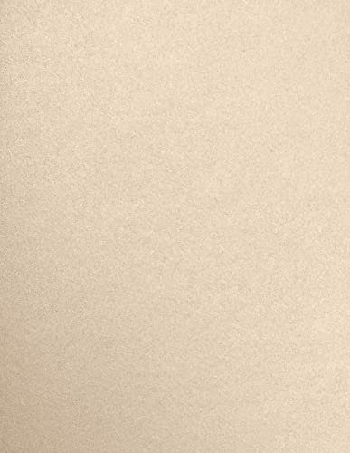 8 1/2 x 11 Cardstock - Taupe Metallic (50 Qty.) by Envelopes Store