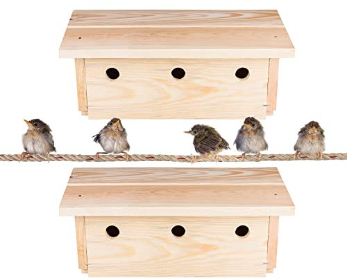 BigDean 2X Nistkasten für Spatzen & Sperlinge - Spatzenhaus aus Massivholz - Spatzenkasten Vogelhaus Sperlingsnistkasten Spatzenhotel mit 3 Nistkammern