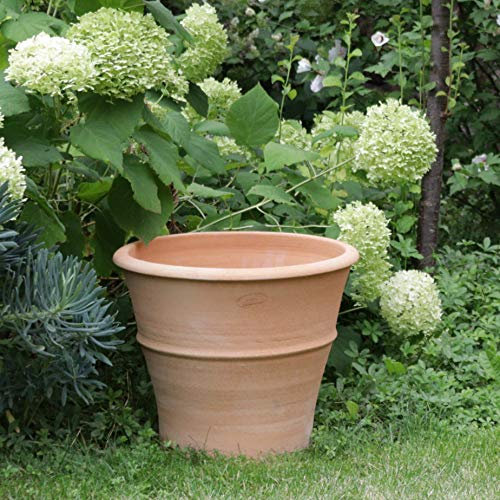 Palatina Werkstatt Terracotta Blumentopf Yucca 40cm - In 100% Handarbeit gefertigtes Unikat – Schmücken Sie Ihr Zuhause mit dem winterfesten Pflanzkübel für den Innen- & Außenbereich