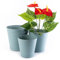 Home Garden Ornaments Tedi Vert Pot de Fleur Interieur Lot de 3 Tailles 13/15/17 cm - Plastique Pot de Fleurs Exterieur - Pots de Fleurs avec Soucoupe Intégrée avec Trous de Drainage (Vert)
