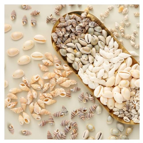 120pcs Natürliche Muscheln zum Auffädeln Muschel Anhänger Deko Muscheln mit loch und Perlen zum Basteln 9x20mm Klein Muscheln Gemischt für Ketten,DIY Schmuck Machen Oder Deco Handwerkmuschel perlen