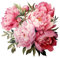 Colexy Wandtattoo Groß Blumen, Wandsticker Zart­ro­sa, Wandsticker Pfingstrose Blumen Wasserdicht, Wandtattoo Pfingstrose Vintage, Wandaufkleber Wanddeko für Wohnzimmer Schlafzimmer, 30X30cm (G)