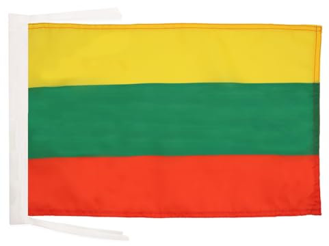 AZ FLAG - Flagge Litauen - 45x30 cm Mit Kordel - Litauische Fahne 30 x 45 Cm - Flaggen
