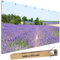 TRIOSK Große Motivplane Sichtschutz Zaunblende mit Motiv Lavendelblüten Blumenfeld Motivbanner Garten Deko Plane Blickdicht für Zaun Terrasse Gartenzaun Zaunplane PVC 340x173 cm