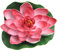 Schöne Teichdekoration, schwimmende künstliche Seerose, mehrfarbig, Rosa