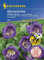 Glockenrebe Violette Glocke von Kiepenkerl