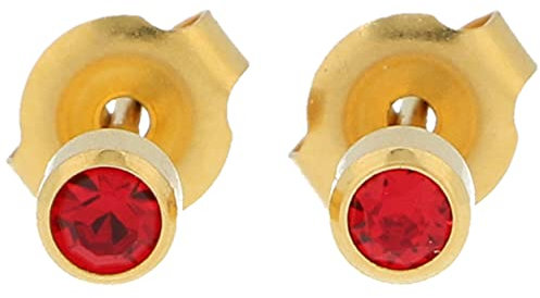 Erstohrstecker Chirurgenstahl vergoldet 4mm Sterile Ohrstecker Zarge mit Stein in rot