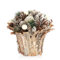com-four® Weihnachtsgesteck im Blumentopf - mehrere Zapfensorten und Holzperlen im dekorativen Topf aus Rinde - handgemachtes Blumenarrangement als Tischdeko (1 Stück - 16cm - weiß - Perlen)