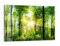 DEQORI Glasbild Echtglas | Motiv Sonne durchbricht Wald | horizontal einteilig 90x60 cm | schöne Dekoration | Wandbild für Wohnzimmer, Schlafzimmer, Flur & Küche | moderne Wanddeko