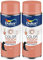 Dulux Valentine Peinture Intérieure et Extérieure Aérosol Color Touch - Effet Métal Cuivre 400 ml - Lot de 2