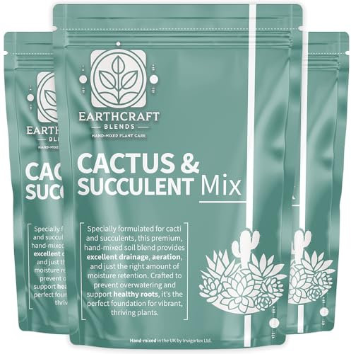 Cactus & Succulent Soil Mix – Fast-Draining Potting Blend for Cacti, Aloe Vera & Succulents – Prevents Overwatering & Root Rot – Supports Healthy Growth – Ideal for Indoor & Outdoor Plants (1 Litre)