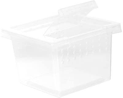 FUTUREORYY Reptilienzuchtbox Und Fütterungsbox Transparent Aus Kunststoff Mit Belüftungslöchern Für Spinnen Eidechsen Kleine Schildkröten Und Kleintiere