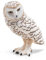 Papo -Handbemalt - Figuren -Wildtiere Der Welt-Schnee-Eule-50167-Sammelbar-Für Kinder - Geeignet für Jungen und Mädchen - Ab 3 Jahren, Weiß