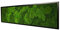 Moosbilder Wandgestaltung, Bild mit Moos und Bilderrahmen, Moosbild, Mooswand, Wandbild, Kugelmoos Moosplatte Pflanzenbilder Moosbilder versch. Maße günstig (140 x 40 cm, schwarz)