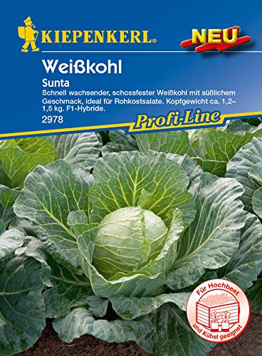 Kiepenkerl 2978 Weißkohl Sunta F1 (Weißkohlsamen)