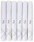 Caruso Italy Men's Initial Monogram R Embroidery 100% Pure Cotton Handkerchief White Base With Colored Border - Pack Of 6