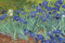 Puzzles 1000 Teile für Erwachsene, Irises von Vincent Van Gogh, 70 x 50 cm, Puzzles für Erwachsene, pädagogisches Herausforderungsspielzeug, 1000 Teile Van Gogh-Puzzles für Erwachsene und Kinder