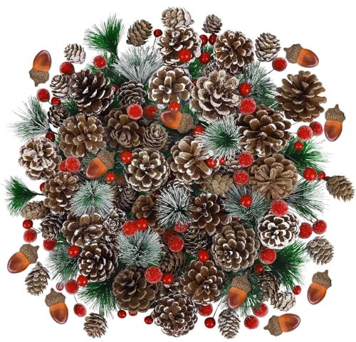 WJWINER Accessori Ghirlanda di Natale, 84 Pezzi Pigne Decorative Natalizie, Decorazioni Natalizie, Decorazioni Corona Avvento, per Composizioni di Fiori di Natale, Corone Alberi e Regali Fai da