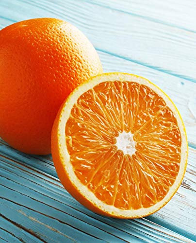Planta de naranja Washington 'Citrus Sinensis' – en maceta: Ø 22 cm – H 80/90 cm