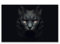 SMTDeco Herdabdeckplatte Ceranfeld Abdeckplatte Herdabdeckung Herdplatten Abdeckungen Induktionskochfeld 80x52 cm 1-tlg. Katze Fantasie Schwarz