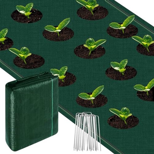 smtfcty Membrana de control de malezas de 1 x 5 m, tela resistente de 100 g/m² para control de malas hierbas con 10 clavijas de seguridad de jardín, membrana de cubierta de suelo, tela de barrera