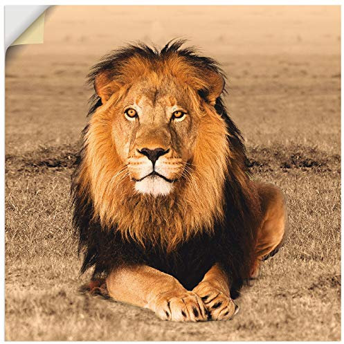 ARTland Wanddeko Wandtattoo selbstklebende Vinylfolie Löwe Tiere Afrika Safari Savanne Steppe Natur Löwenmähne T5RJ