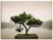 ARTland Wanddeko Leinwand Bilder Wandbild 60x45 cm Botanik Bäume Fotografie Grün Chinesischer Bonsaibaum T9IC