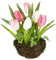 Kunstblumen Tulpen im Nest künstliche Blume Papageientulpe Blüte Frühjahrsdeko Osterdeko Osternest Mittelstück Dekoration Seidenblume wie echt Kunsttulpe Tischdeko Zimmerpflanze Floristik