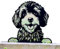 Peeking Cockapoo Fence Topper 32cm Black Steel Metal Pet Dog Silhouette Garden Decor