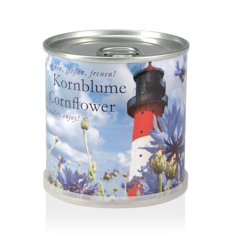 MacFlowers Extragifts Blumen in der Dose - Kornblume
