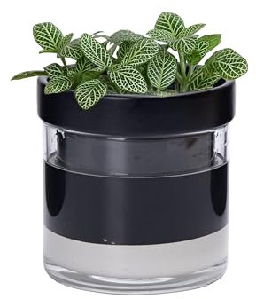 Phoenix Vine 10,2 cm Selbstbewässernder Terrakotta-Pflanztopf, schwarzer Terrakotta-Ton mit Glasreservoir für Zimmerpflanzen, Kräuter, Blumen, 1er-Set, 52-C-E-1