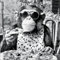 artissimo, Glasbild, 50x50cm, AG5587A, schwarz-weiß Foto Retro: Chimpanse beim Pizza Essen, lustige Tiere, Wanddekoration aus Glas, Wandbild Küche modern, Küchenbild