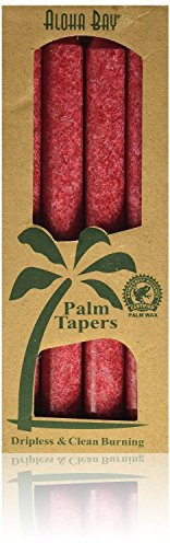 Aloha Bay Palmen-Kegel, Rot, 4 Stück