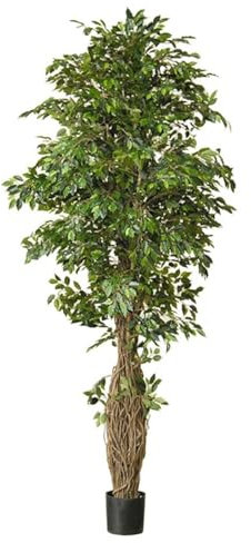 artplants.de Kunstpflanze Ficus Benjamini ALMINKO, Naturstamm, grün, 330cm