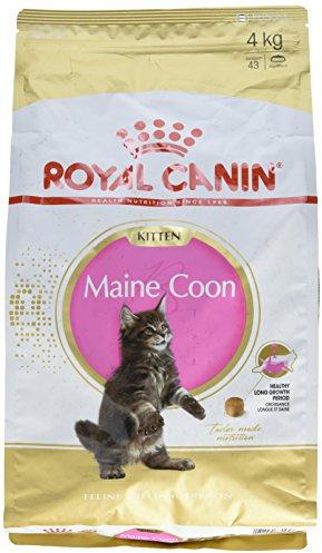 Royal Canin Katzenfutter Feline Kitten Maine Coon 36, 4 kg, 1er Pack (1 x 4 kg)