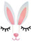 Bunny Ear Cupcake Toppe, 5 Pieces Rabbit Birthday Cake Decoration,Rabbit Bunny Cake Topper with Eyelashes Nose Ear for Easter Xmas Halloween Party Decor Supplies