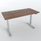 VESKA Höhenverstellbarer Schreibtisch (140 x 70 cm) - Sitz- & Stehpult - Bürotisch Elektrisch Höhenverstellbar mit Touchscreen & Stahlfüßen (Silber/Antik)